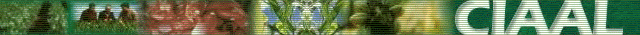 Ir al sitio Web CIAAL