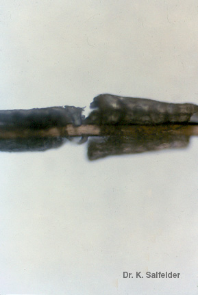 Abb. 3,17