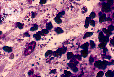 Fig. 7-A3